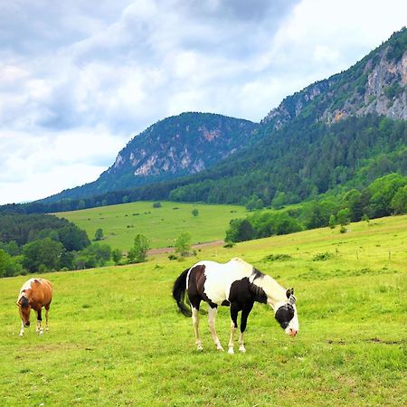 ホテル Glamping Hohe Wand - Zelt Mit Sternenfenster Und Whirlpool Maiersdorf エクステリア 写真
