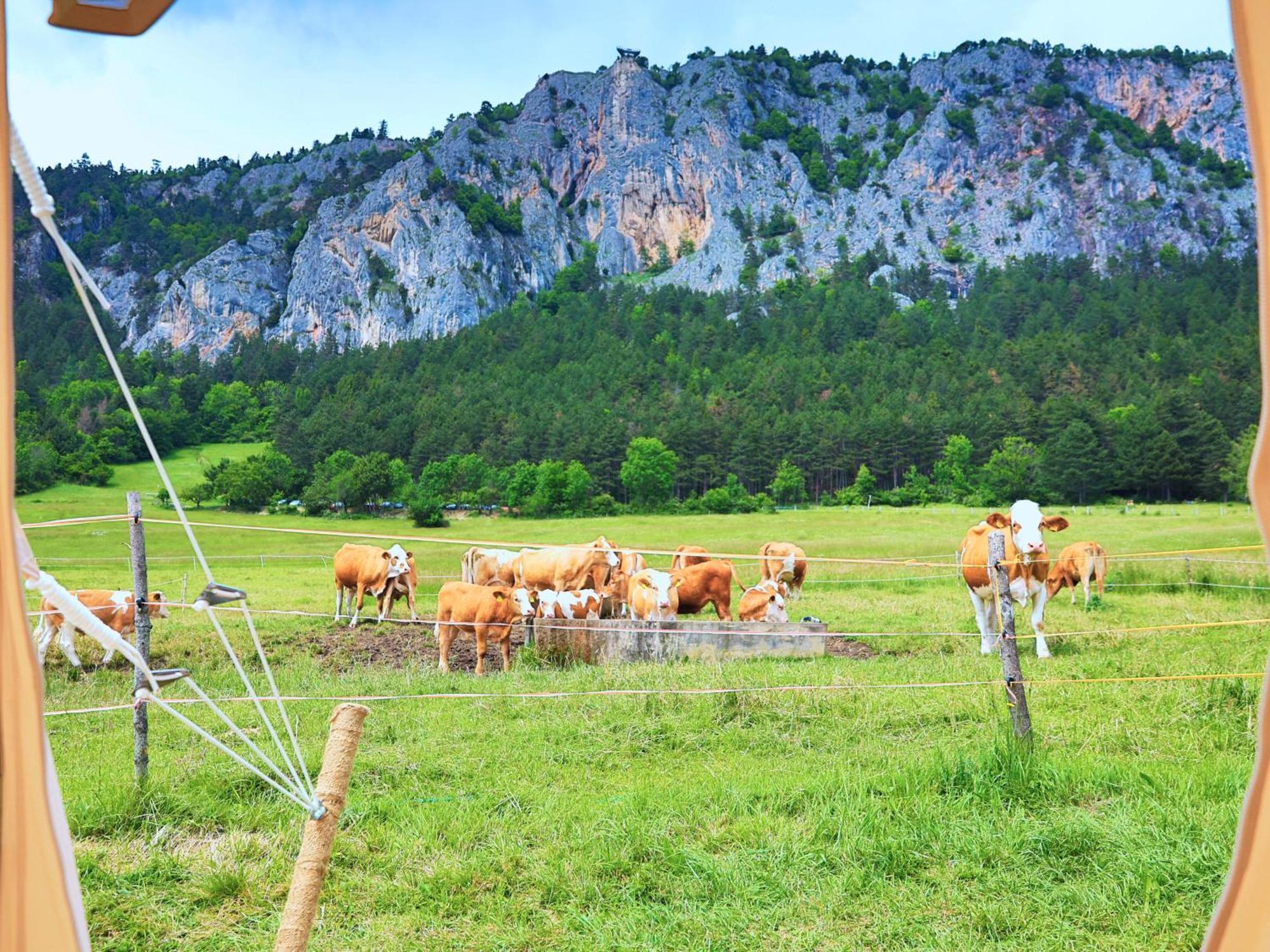 ホテル Glamping Hohe Wand - Zelt Mit Sternenfenster Und Whirlpool Maiersdorf エクステリア 写真