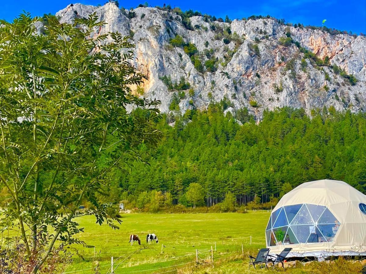 ホテル Glamping Hohe Wand - Zelt Mit Sternenfenster Und Whirlpool Maiersdorf エクステリア 写真